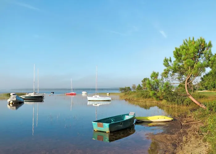 Les Pins-12 By Interhome * Lacanau